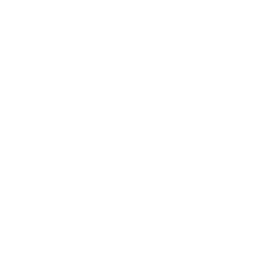 Logo REDE DE MULHERES_white